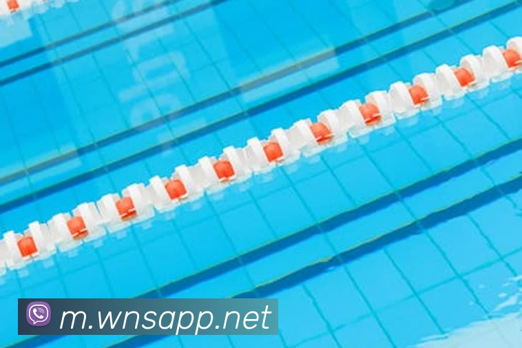 App Interface Preview