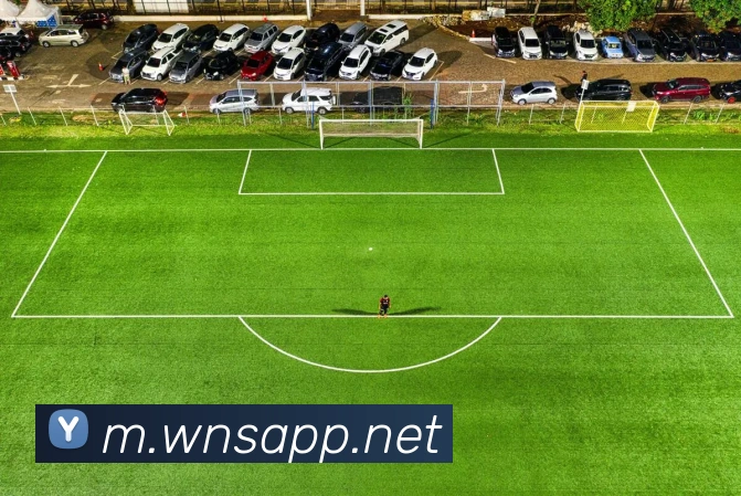 澳门威尼斯人网站APP 封面图